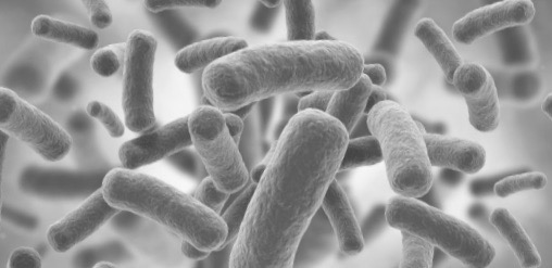 Microbiote buccal et santé générale